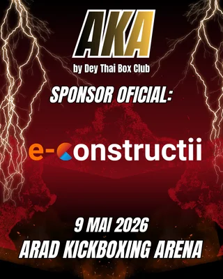e-Constructii